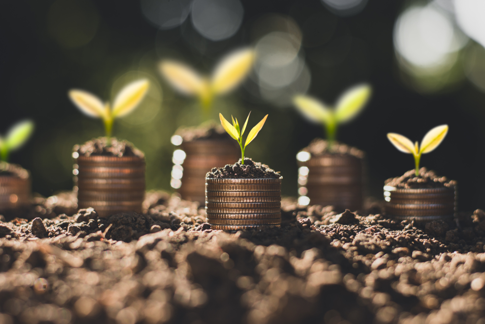 EIF backs €18.75 million guarantee for social enterprises and small mid-caps in Italy
